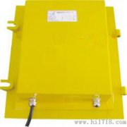 溜槽堵塞開關(guān)SDS-II，溜槽防堵保護(hù)開關(guān)，廠家防爆堵塞開關(guān)工廠直營